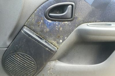 Clean Premium Intérieur Renault Clio