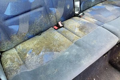 Clean Premium Intérieur Renault Clio