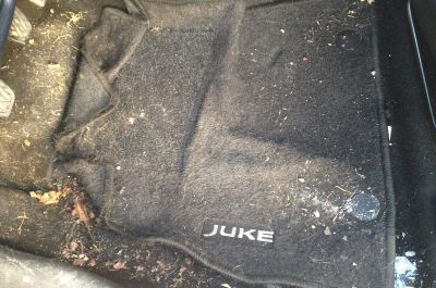 Clean Premium Nissan Juke